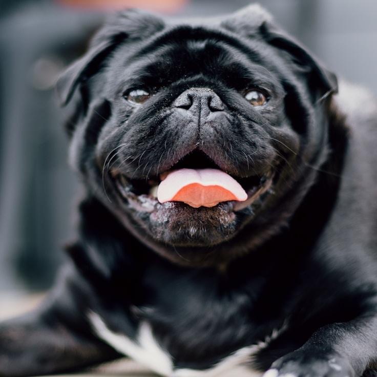 Kaveri Mehta, Lead Design Curator at MapleShaleGather, reviewing corporate floral arrangements